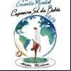 panfleto 10º Encontro Mundial de Capoeira Sul da Bahia