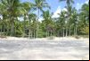 Praia de Curu