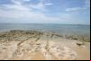 Praia de Curu
