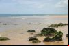 Praia de Curu