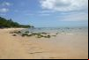 Praia de Curu