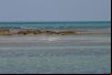 Praia de Curu