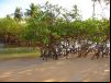 Praia dos Nativos - Trancoso