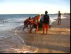 Praia dos Coqueiros - Trancoso